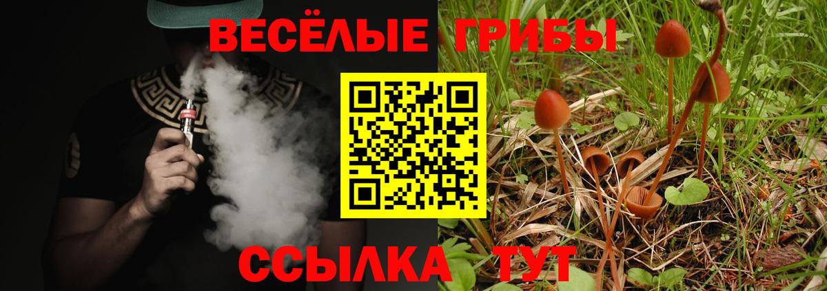 Псилоцибиновые грибы GOLDEN TEACHER Пугачёв