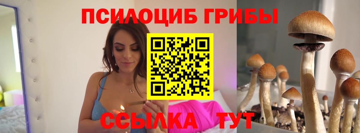 Пугачёв  Галлюциногенные грибы Magic Shrooms  Вход с VPN  Псилоцибиновые грибы GOLDEN TEACHER 